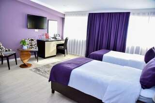Отель Supreme Hotel Baku Баку Стандартный двухместный номер с 1 кроватью или 2 отдельными кроватями-2